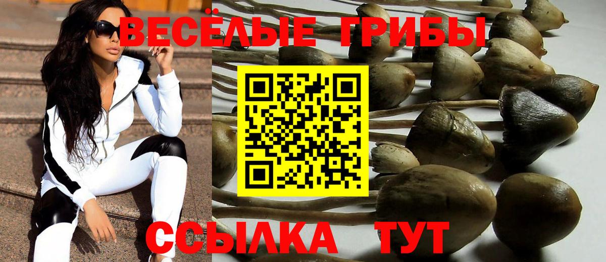 Фролово  закладки  Вход с VPN  Псилоцибиновые грибы Psilocybe 