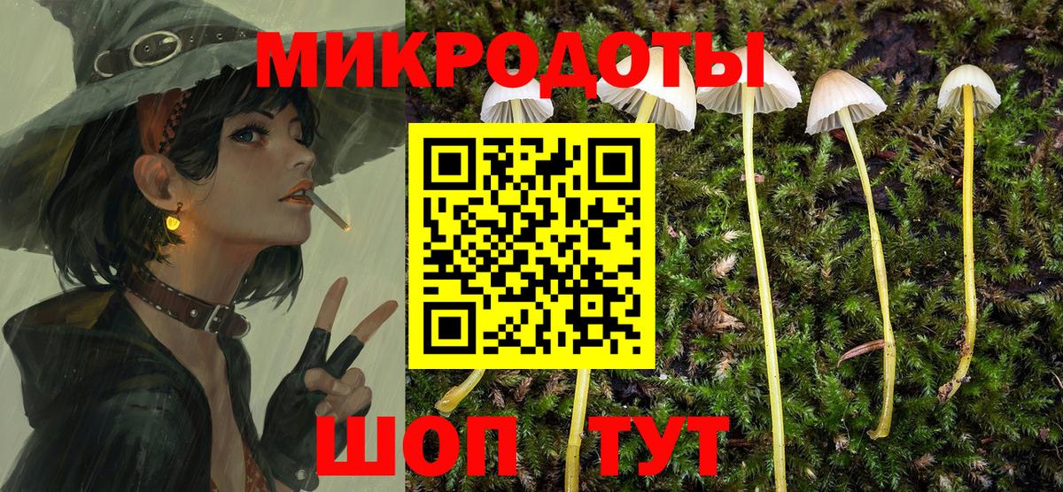 Псилоцибиновые грибы Psilocybe Фролово